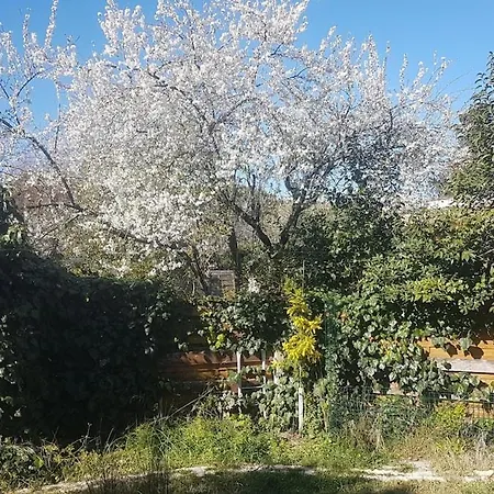 Motte Villa, Et Verdure La Grande-Motte